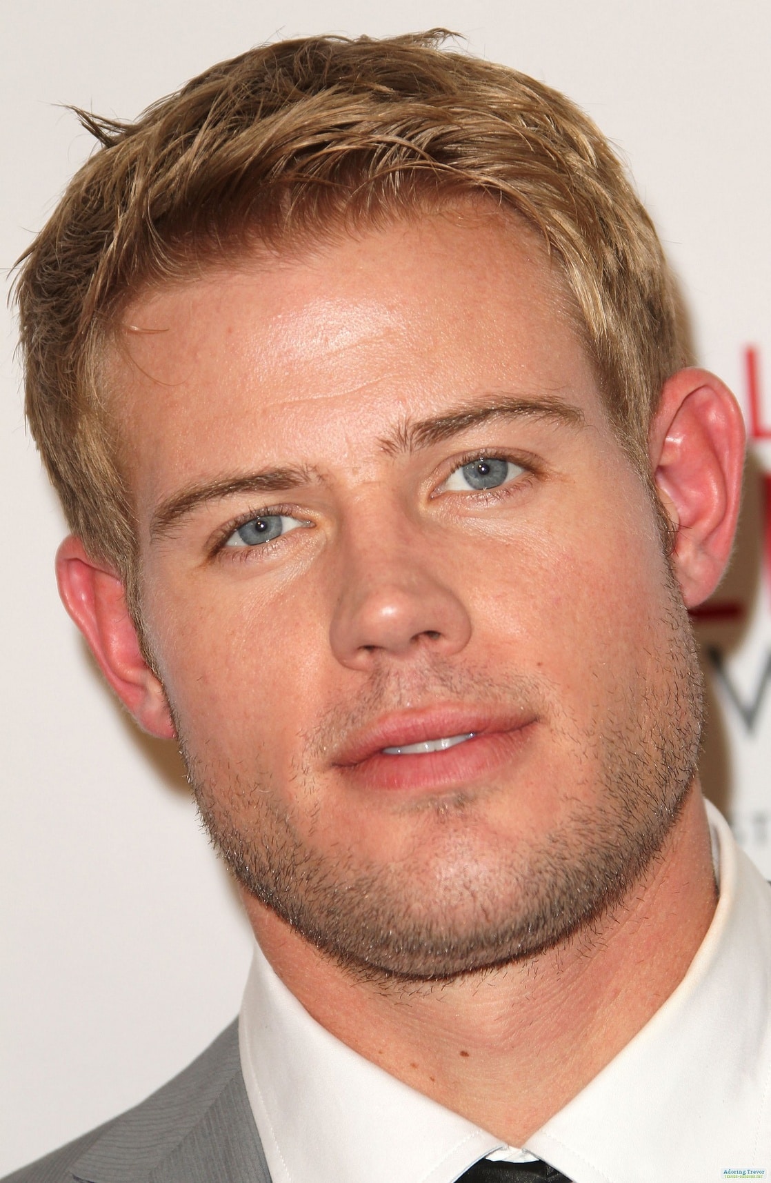 Picture of Trevor Donovan