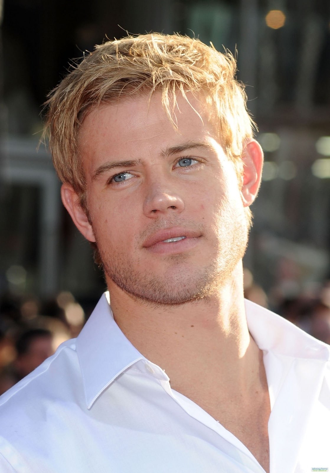 Picture of Trevor Donovan