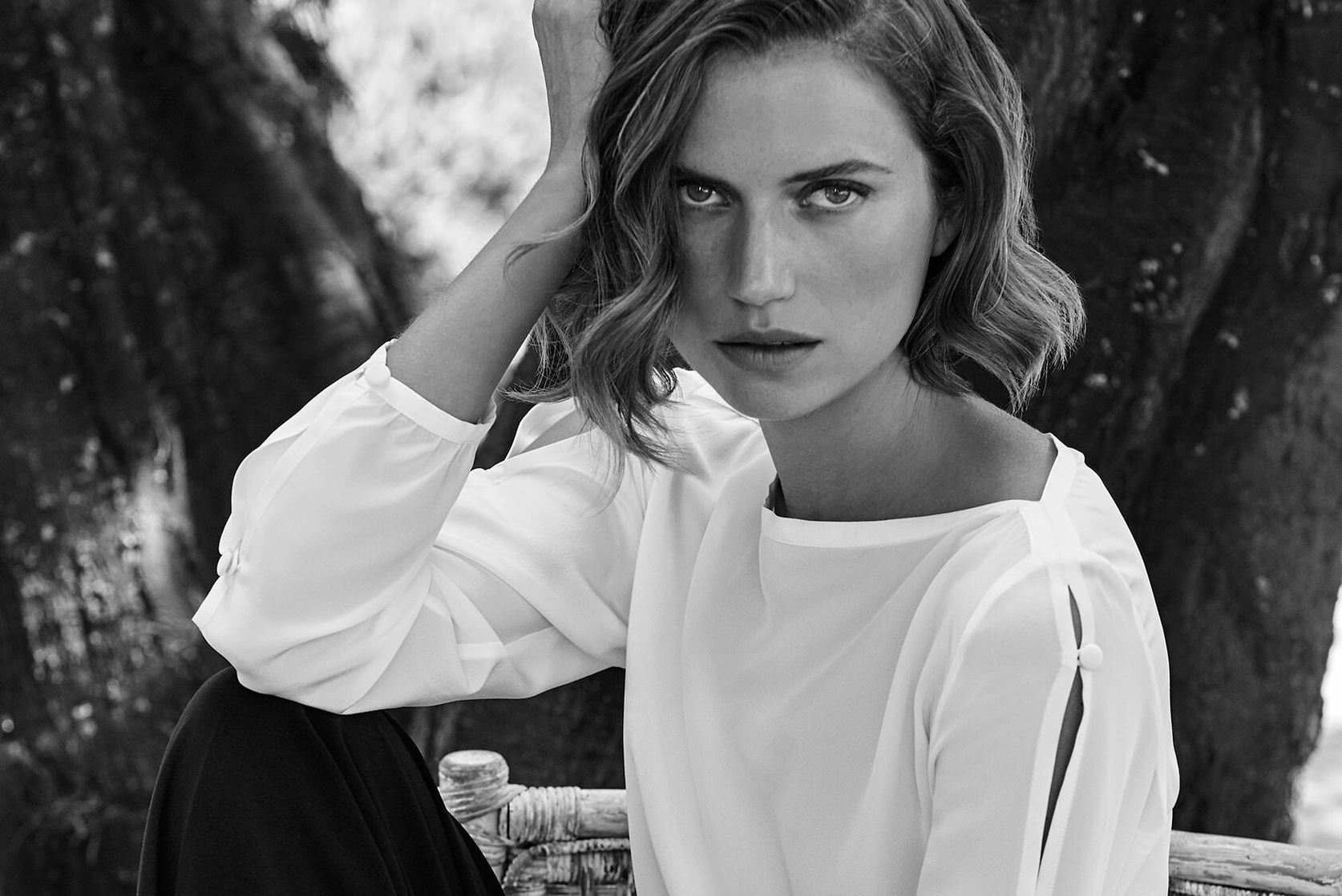 Cato Van Ee