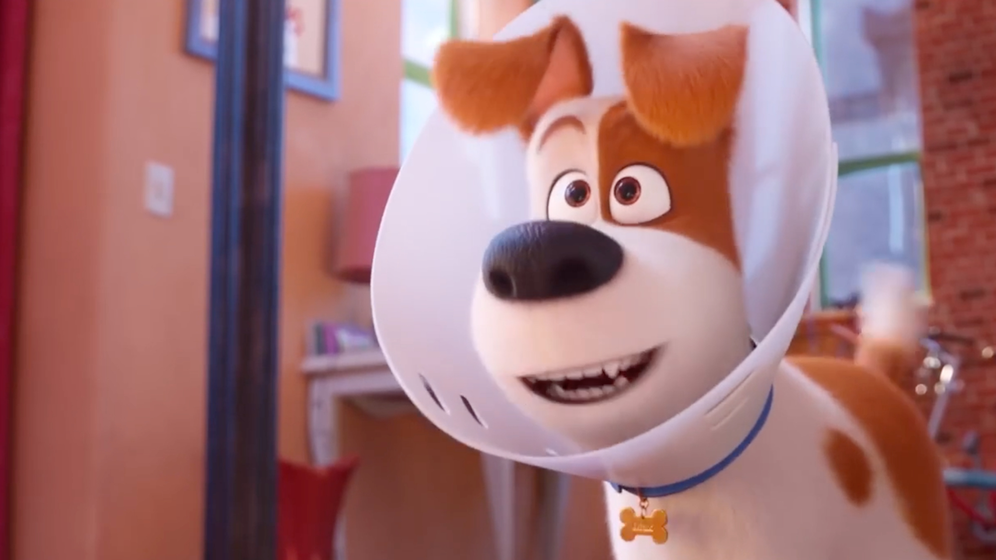 The Secret Life of Pets 2 (2019)