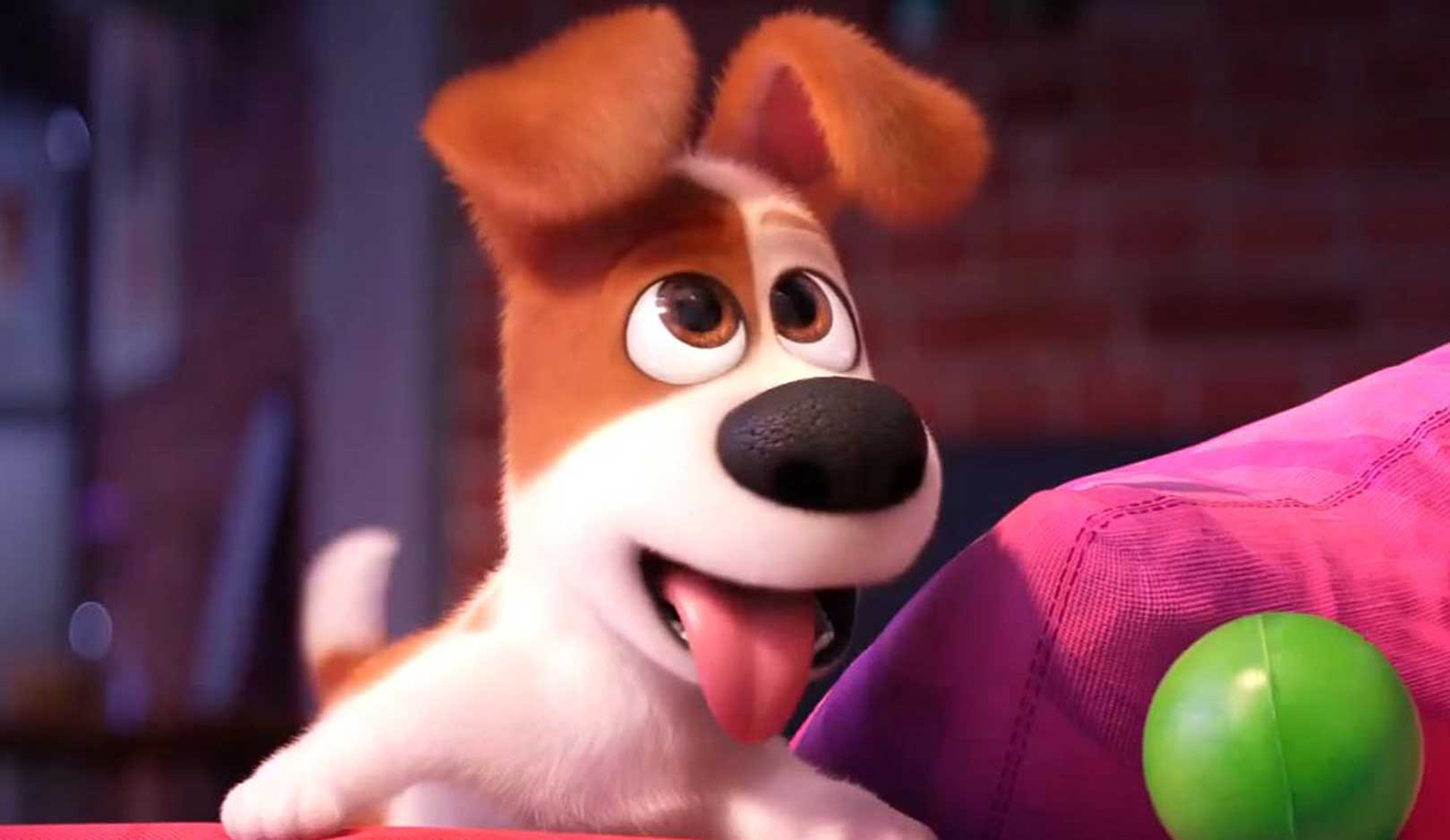 The Secret Life of Pets 2 (2019)