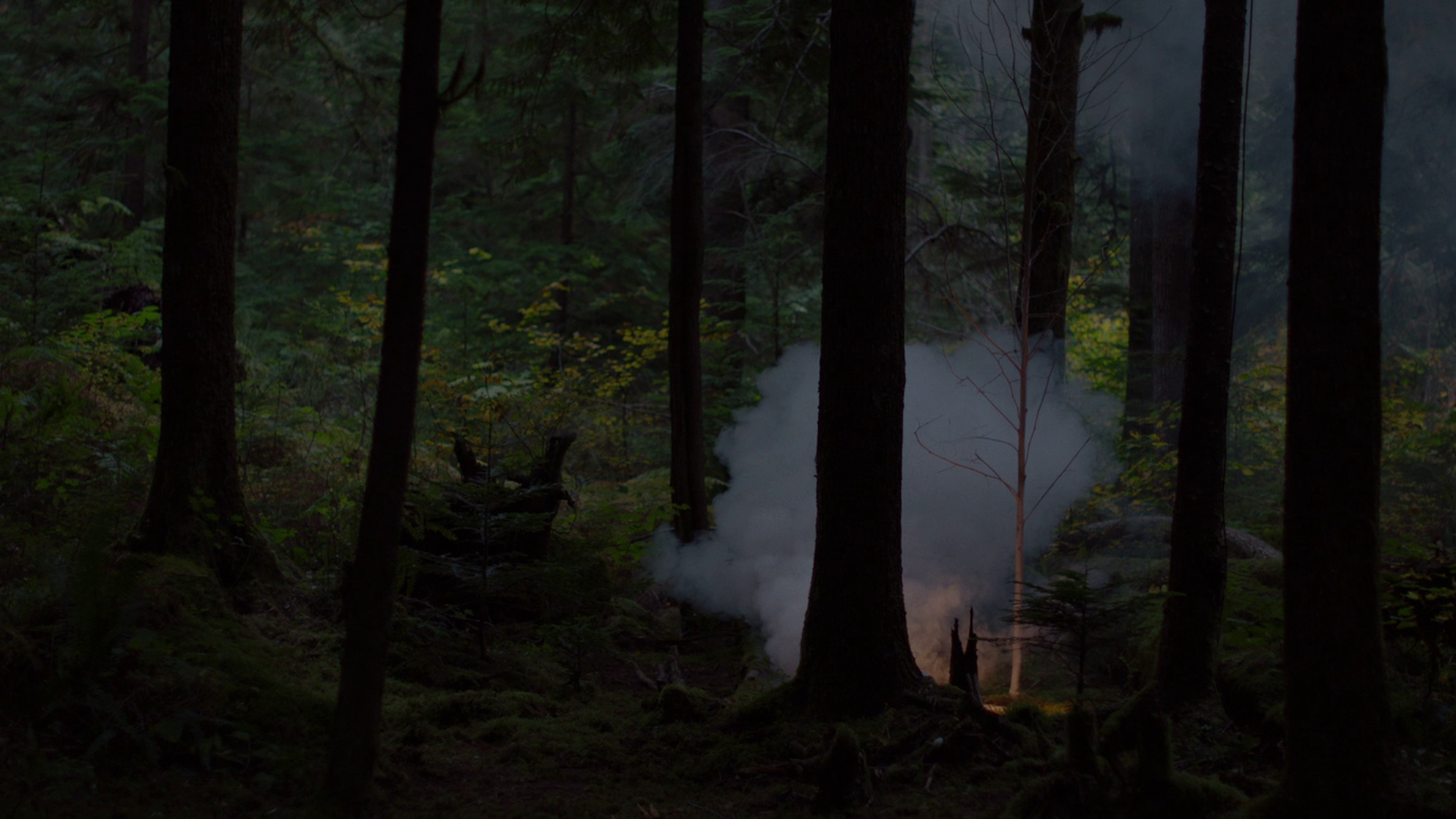 Twin Peaks: The Return