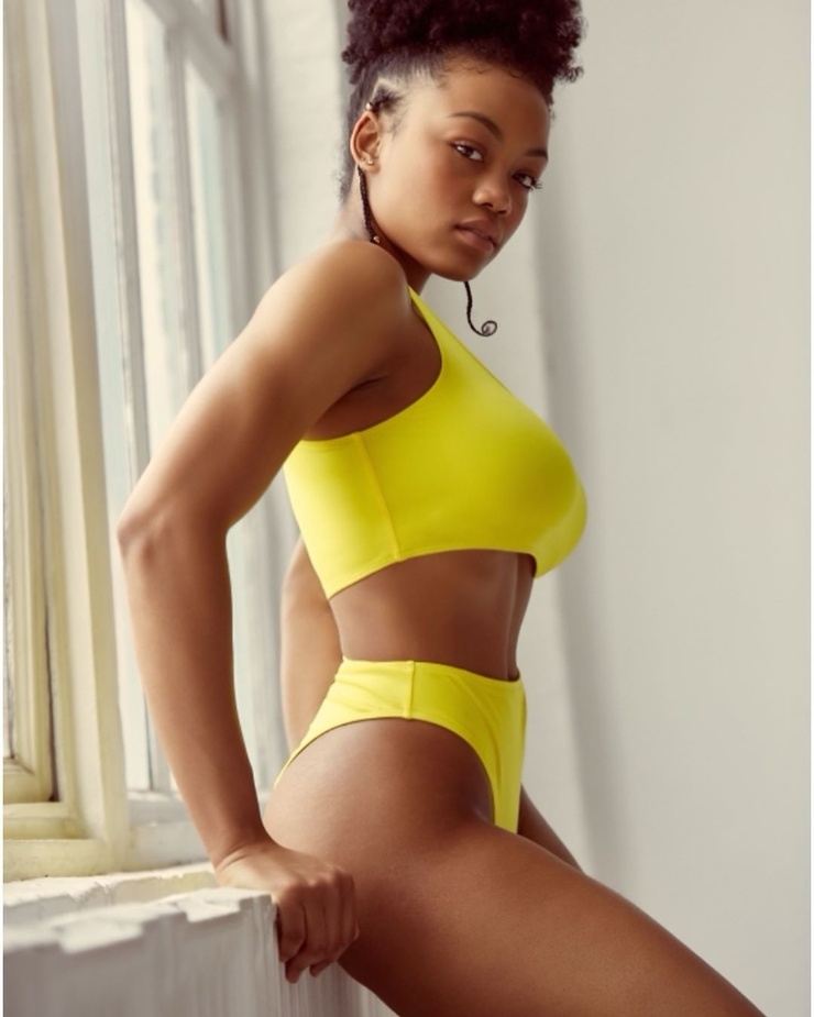 Picture of taylor banner