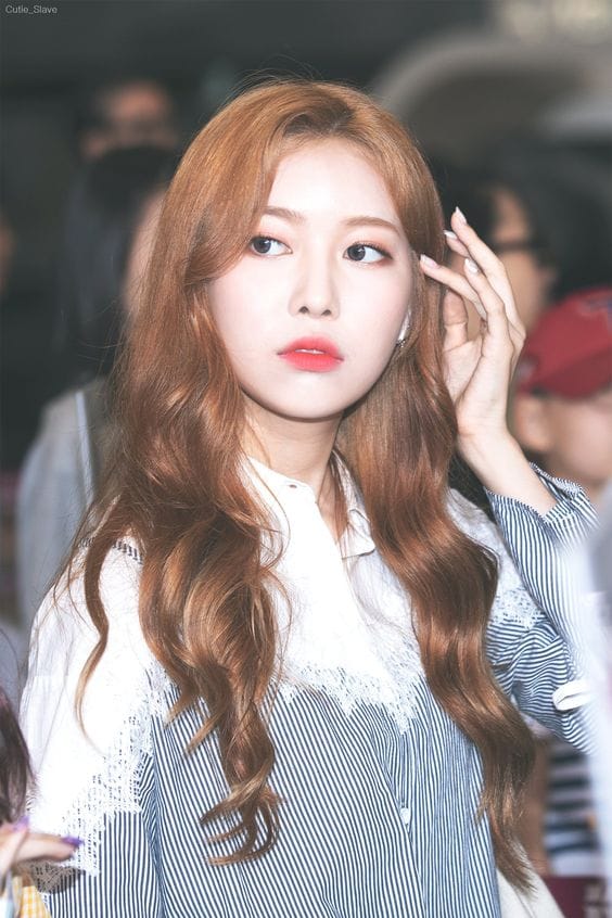 Picture of Jane (Momoland)