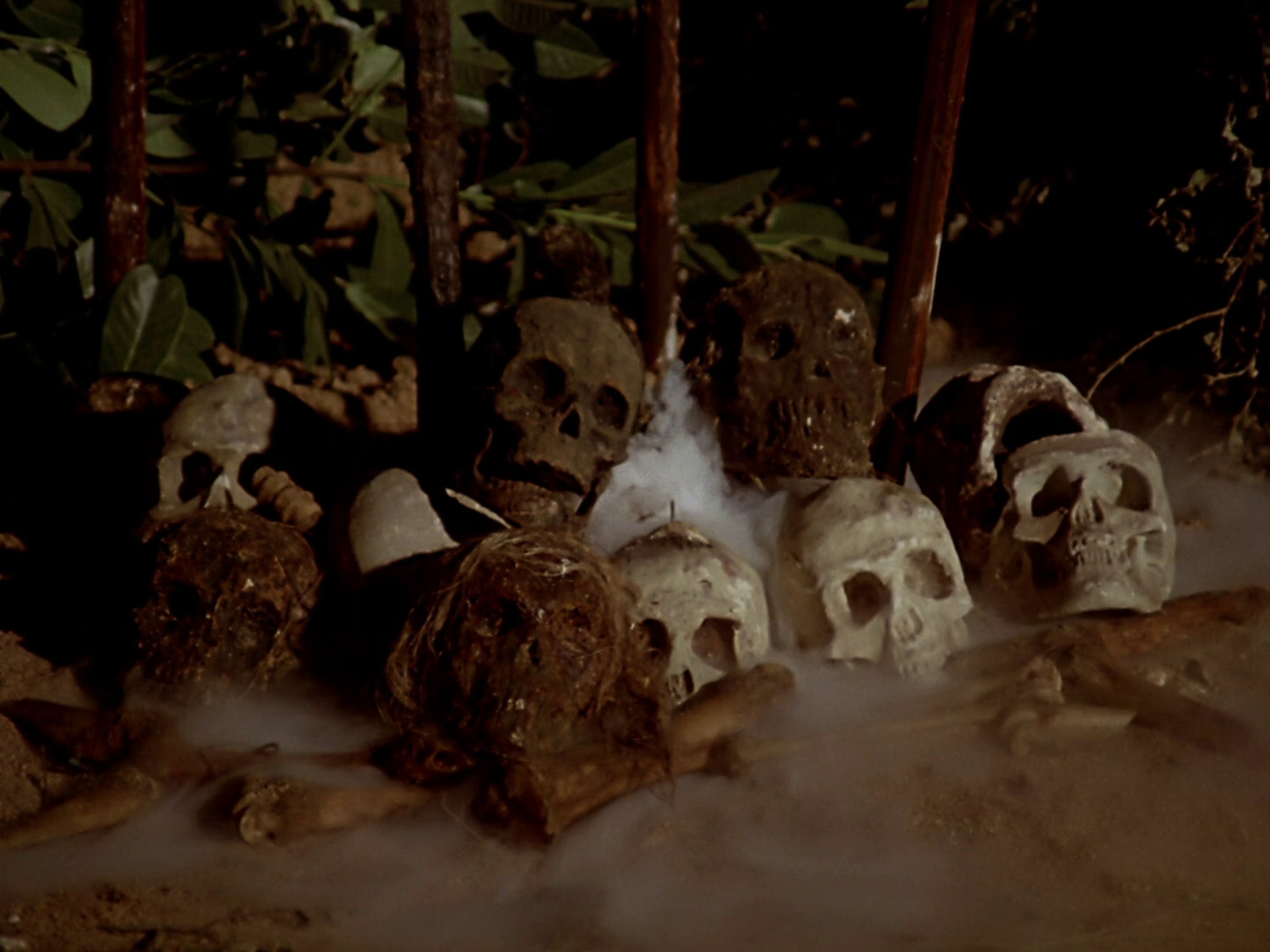The Night of the Sorcerers The Night of the Sorcerers