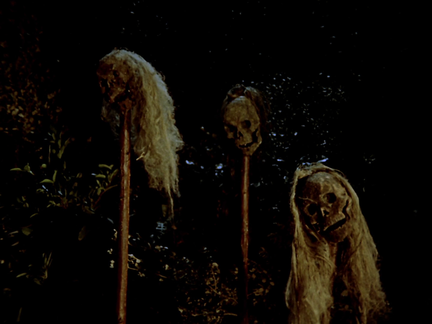 The Night of the Sorcerers The Night of the Sorcerers
