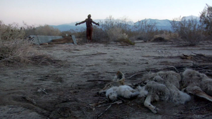Bundy: a Legacy of Evil