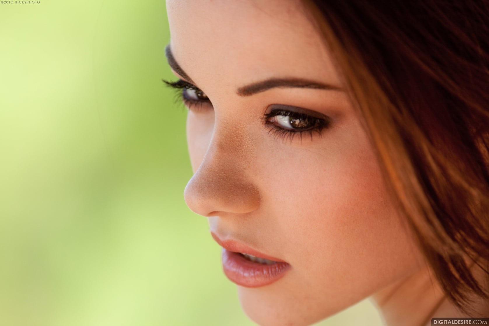 Shelby Carter