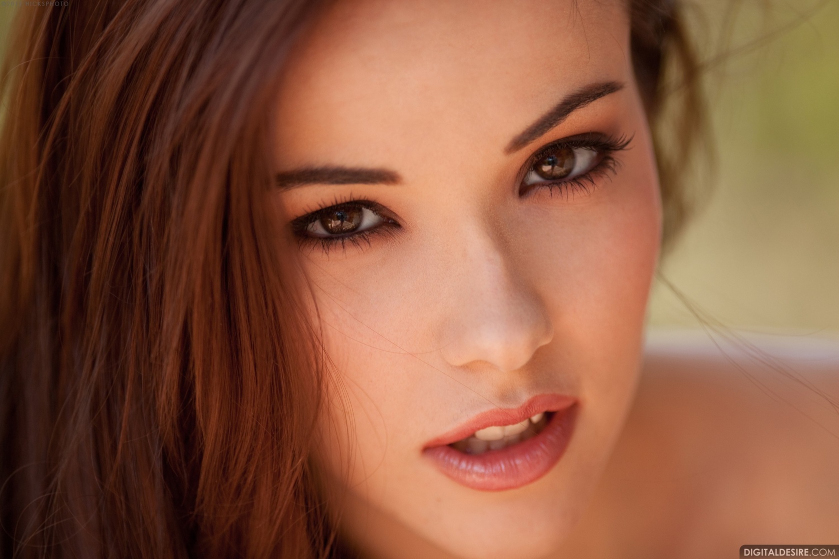 Shelby Carter
