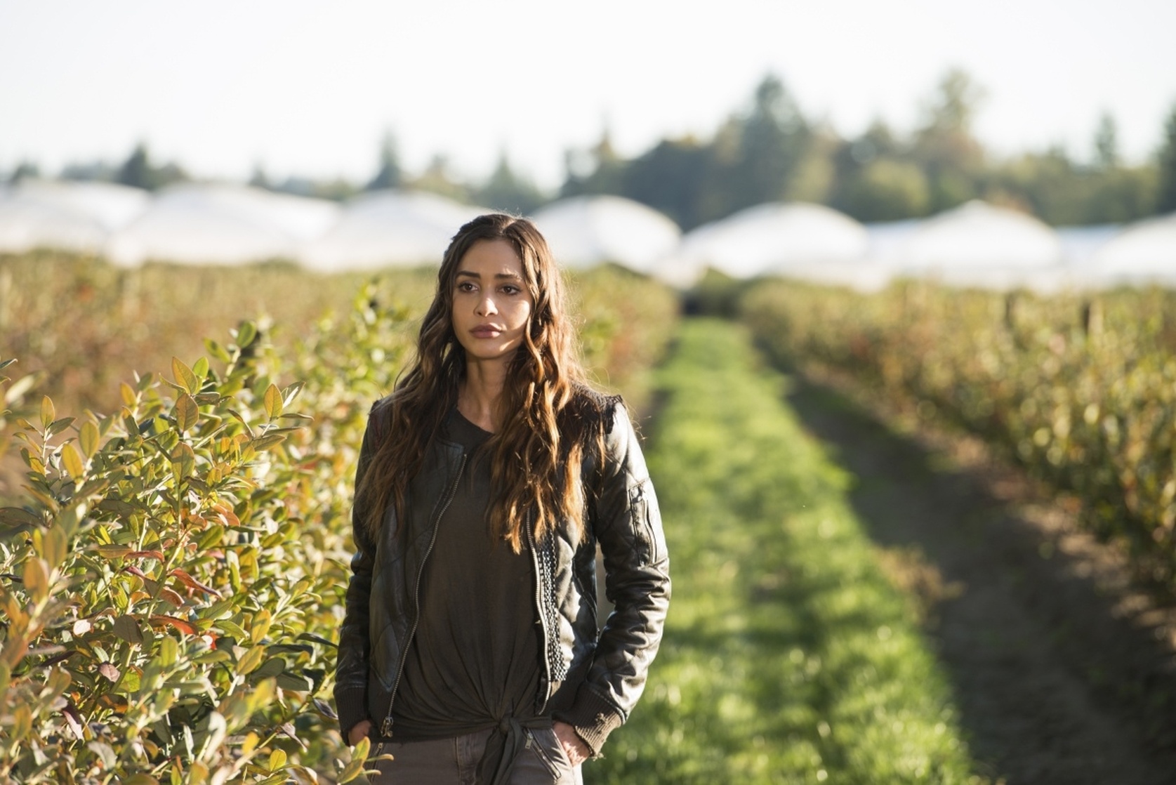 Lindsey Morgan