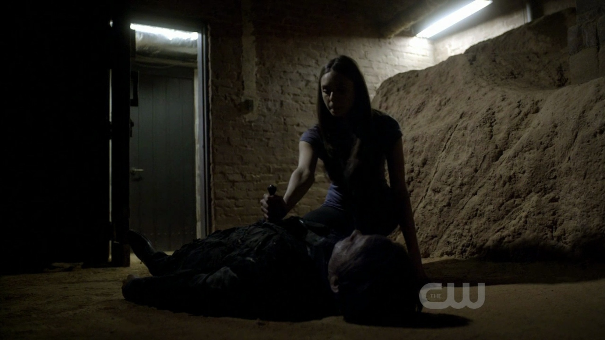 The Vampire Diaries