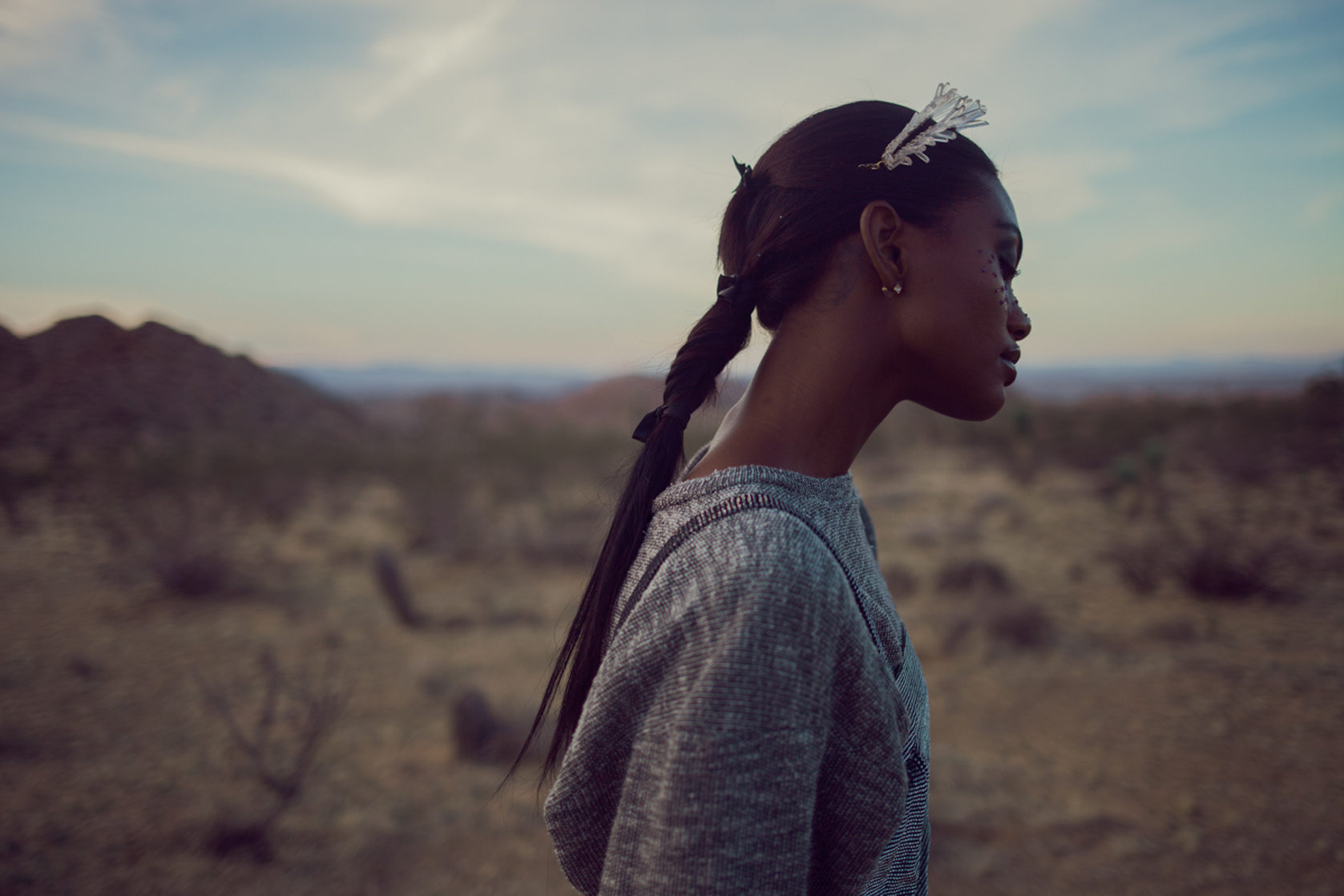 Milan Dixon
