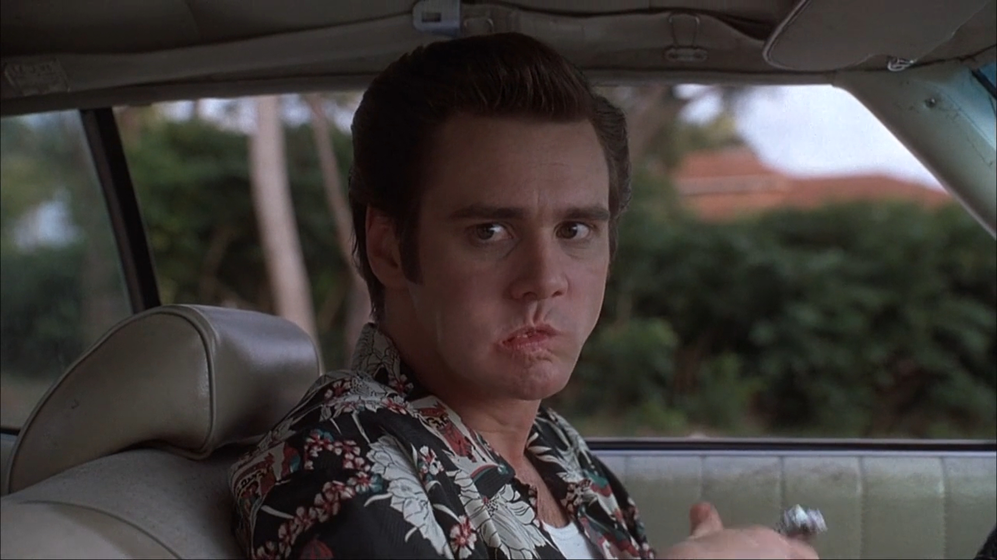 Ace Ventura: Pet Detective