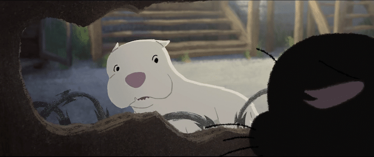 Kitbull Kitbull