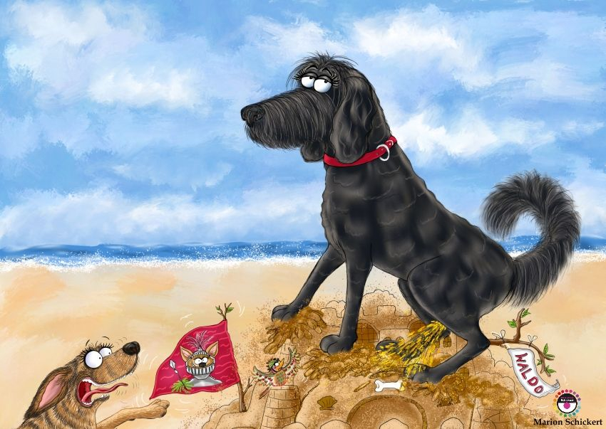 Waldo und Schnövenichvanschnöf. Abenteuer am Meer
