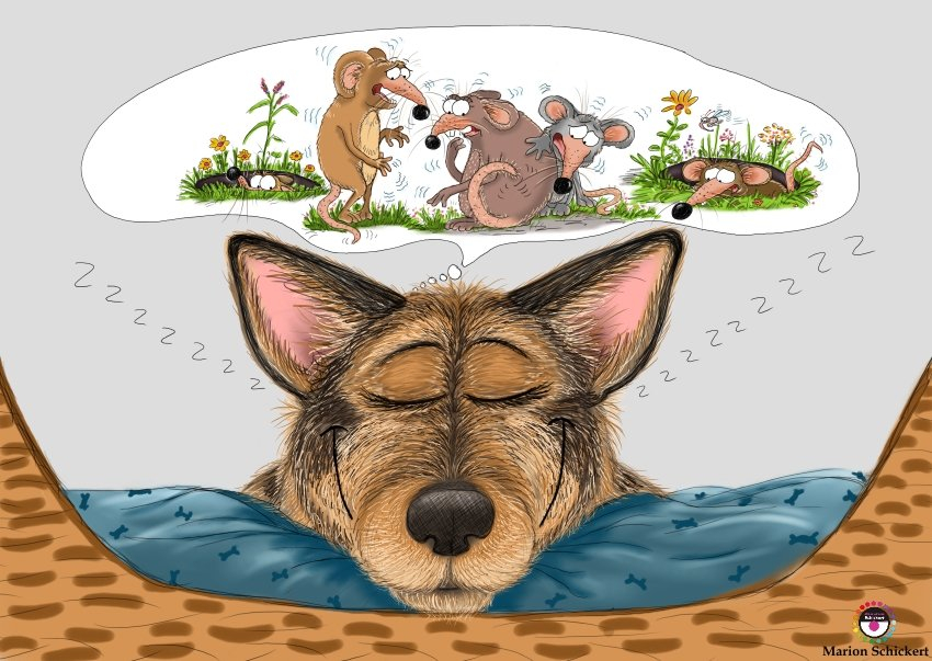 Waldo und Schnövenichvanschnöf. Abenteuer am Meer