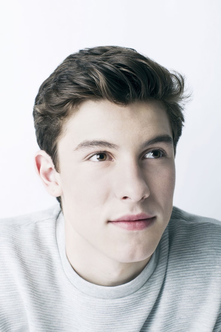 Picture of Shawn Mendes