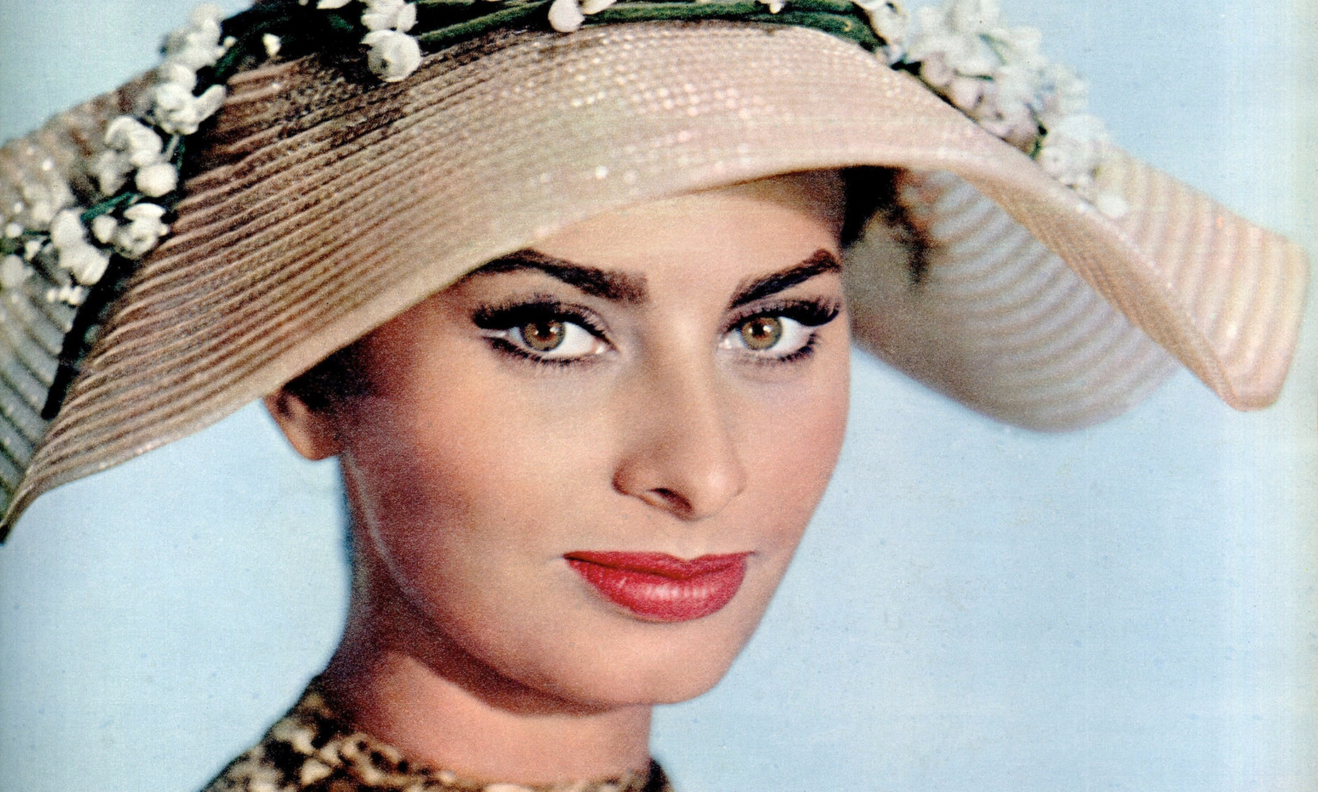 Sophia Loren Sophia Loren