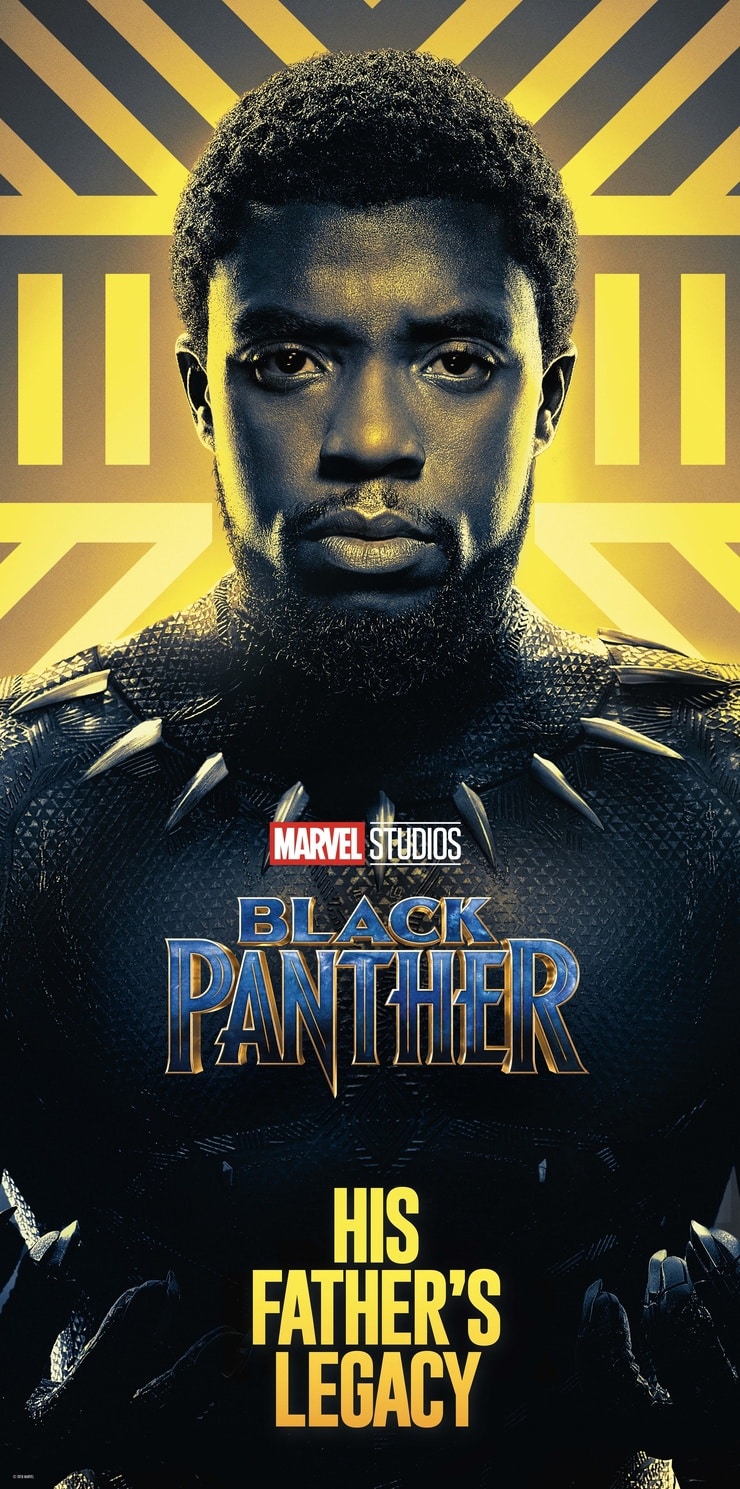 Picture Of Black Panther (2018)