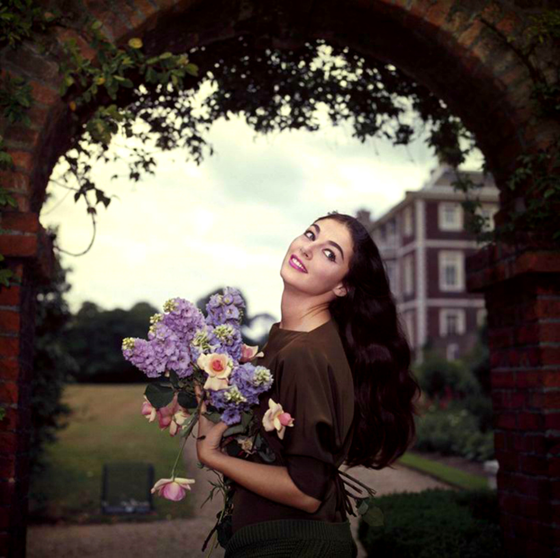Pier Angeli Pier Angeli