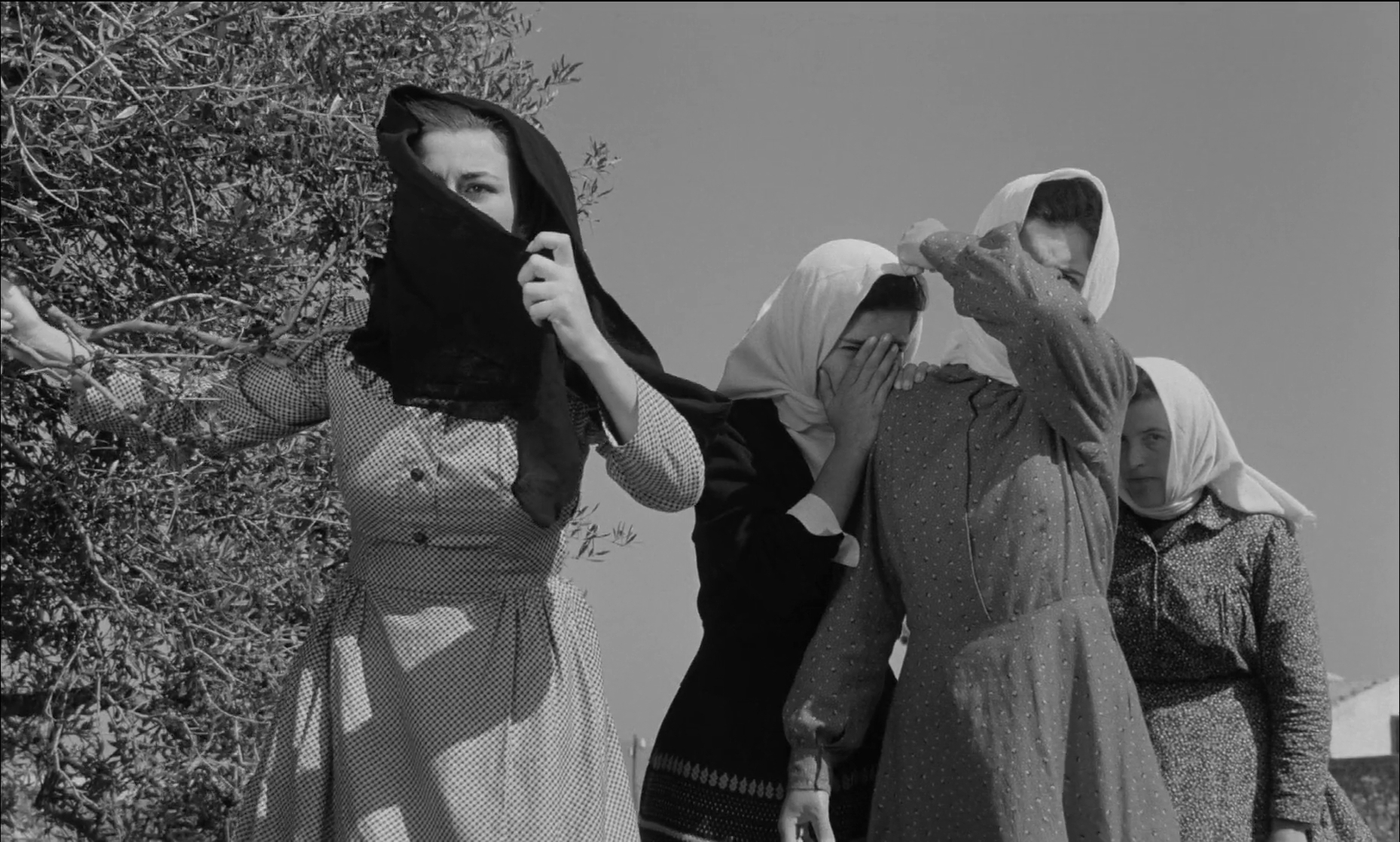 Zorba the Greek (1964) Zorba the Greek (1964)