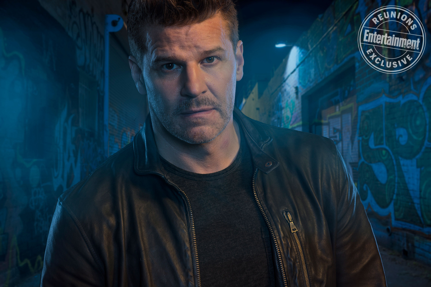 David Boreanaz