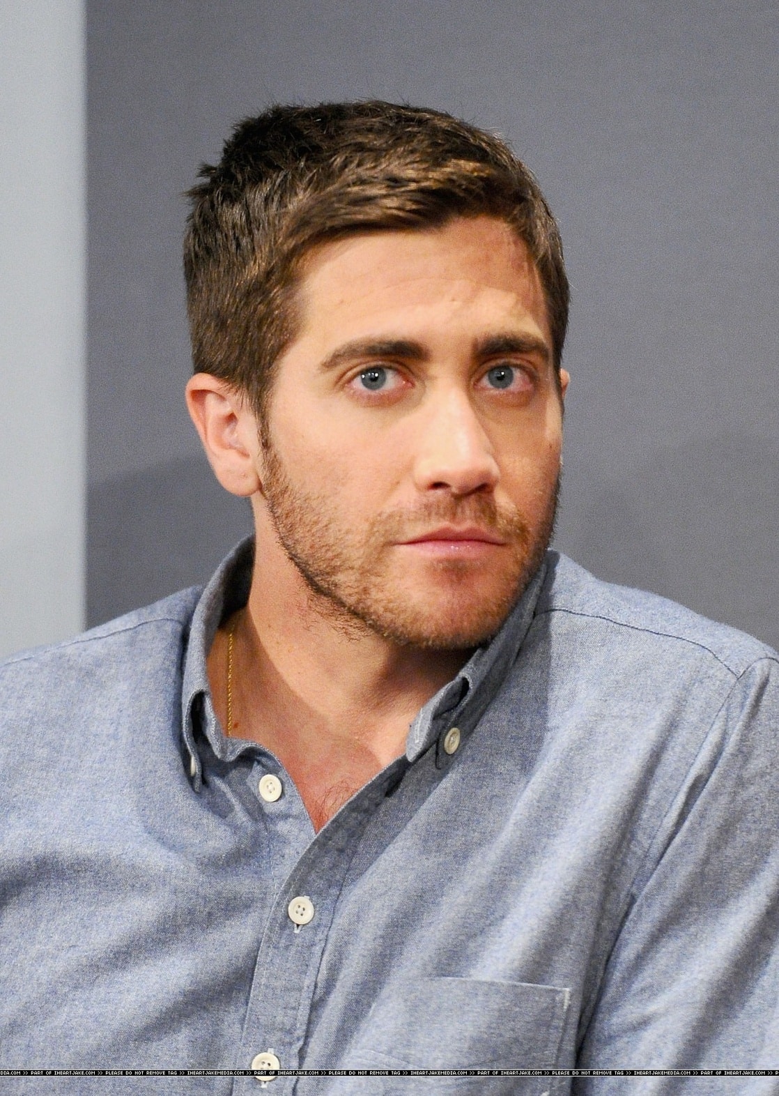 Jake Gyllenhaal picture