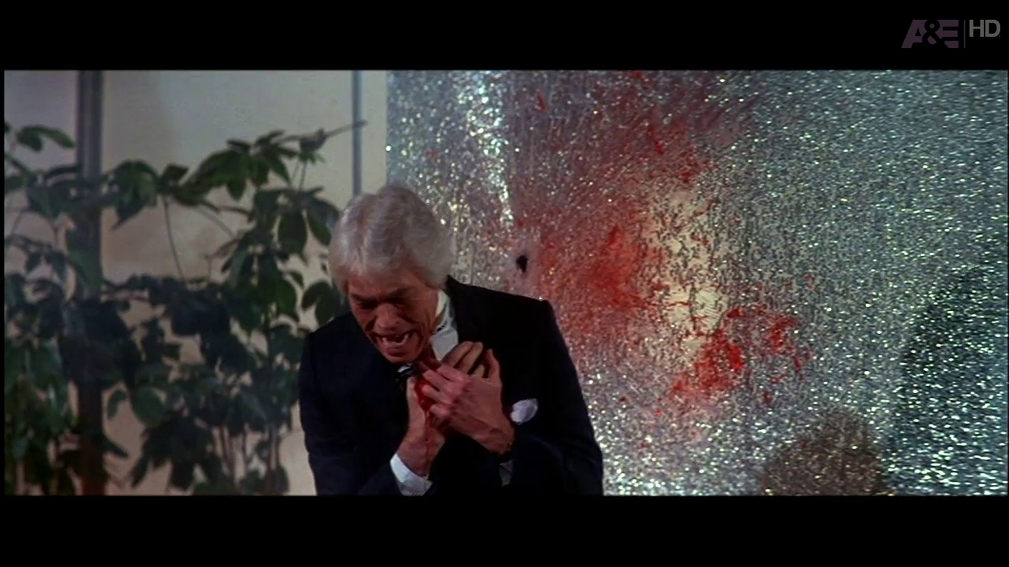 Looker (1981)