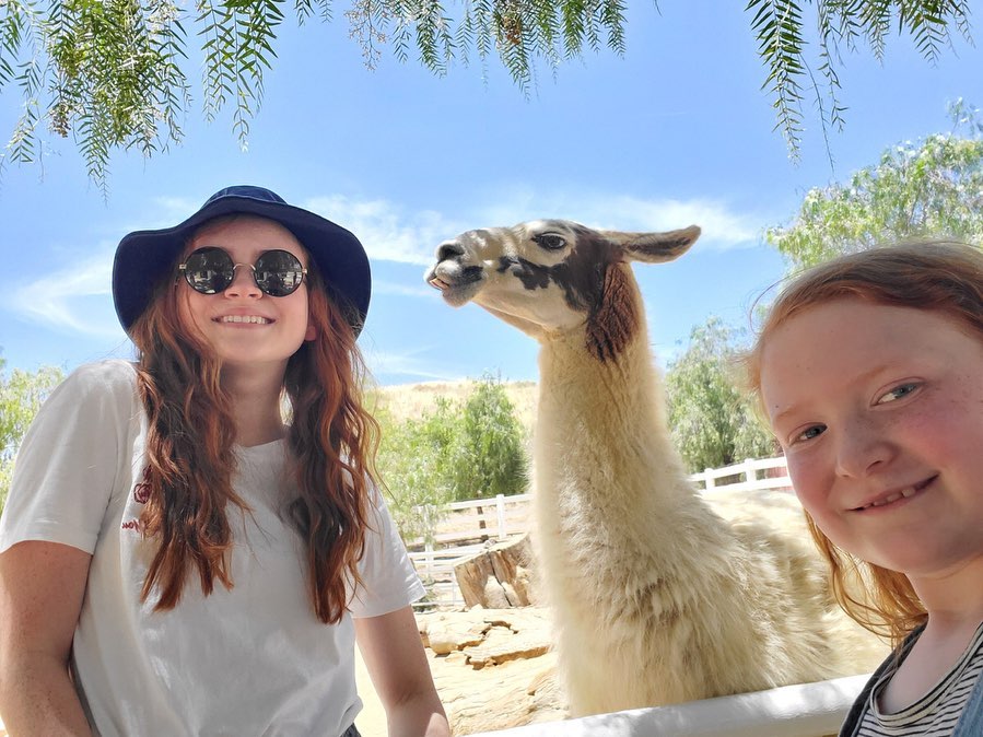 Sadie Sink