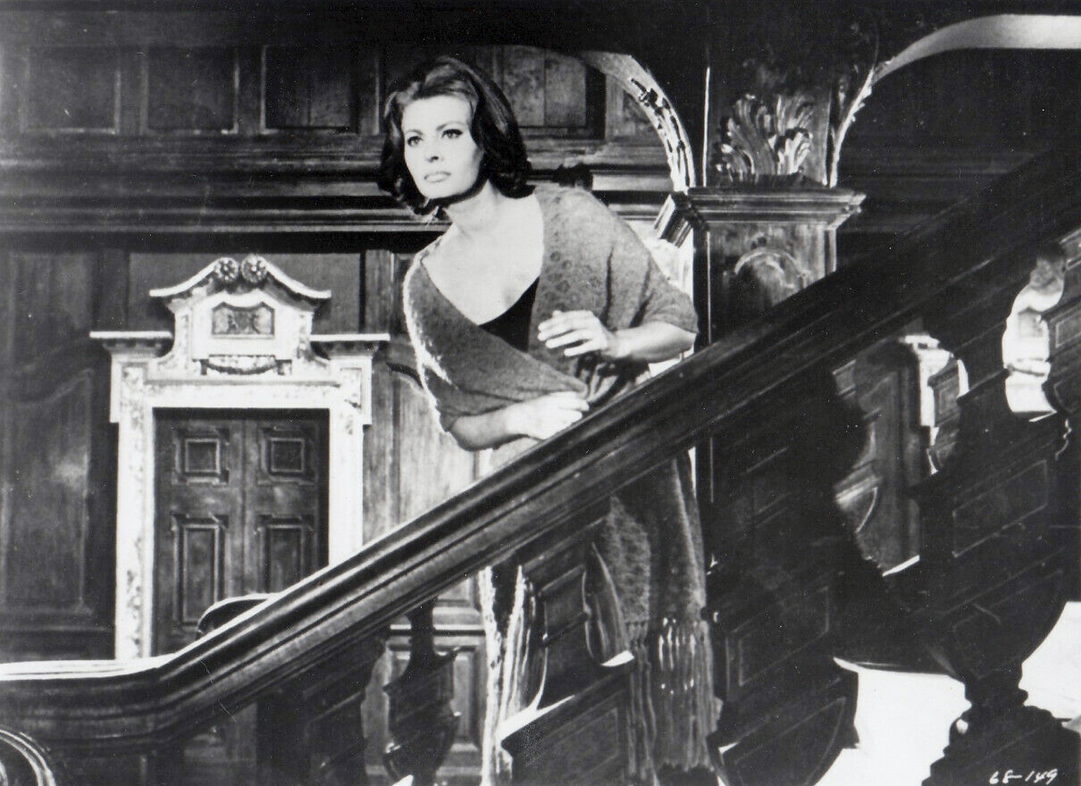 Sophia Loren Sophia Loren
