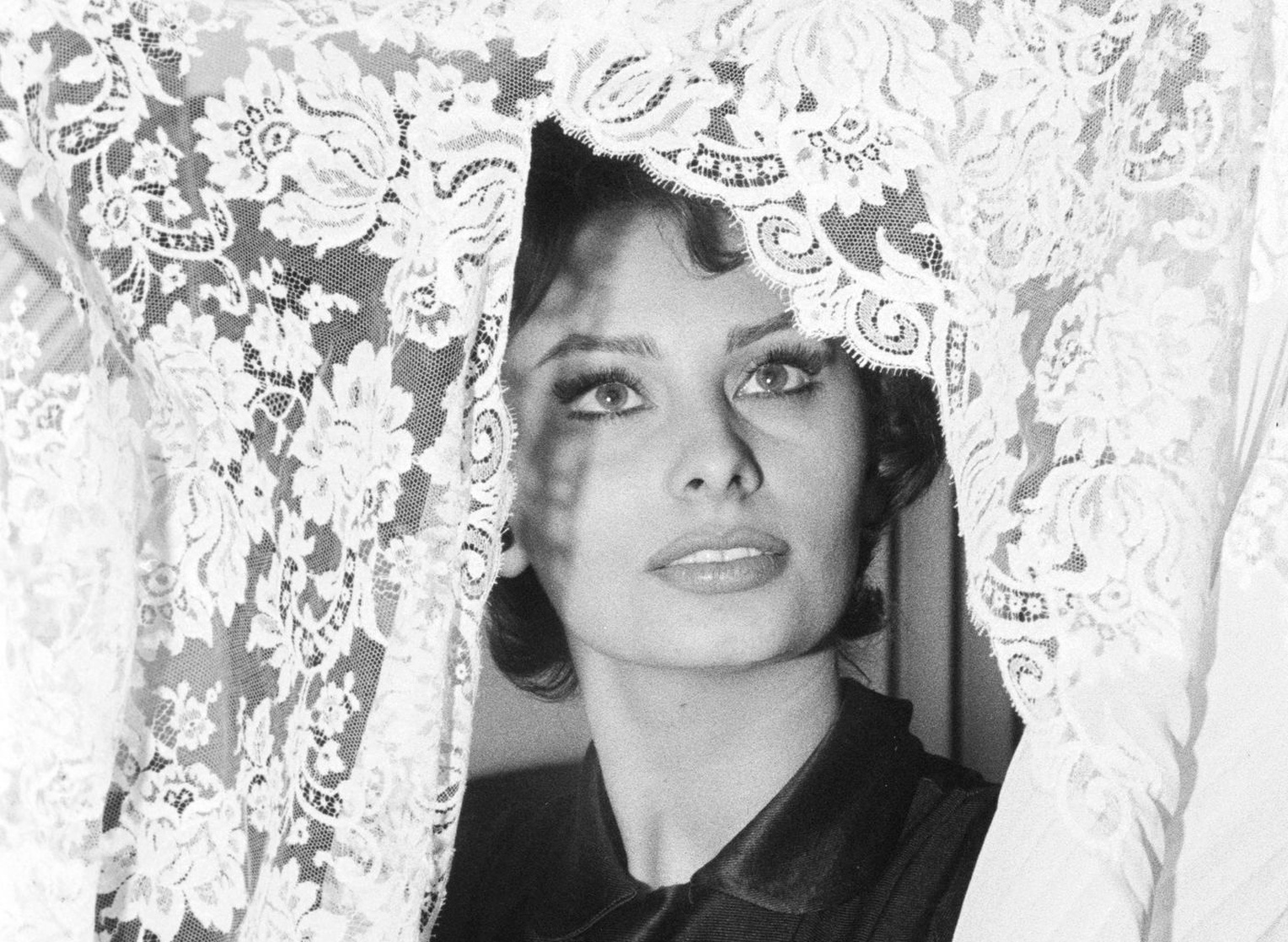Sophia Loren Sophia Loren
