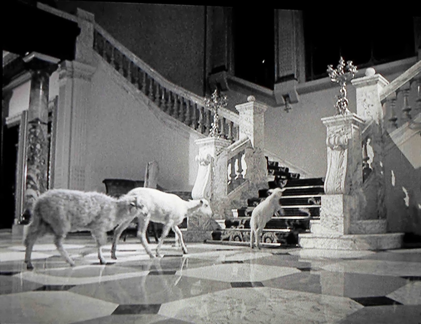 The Exterminating Angel (1962)