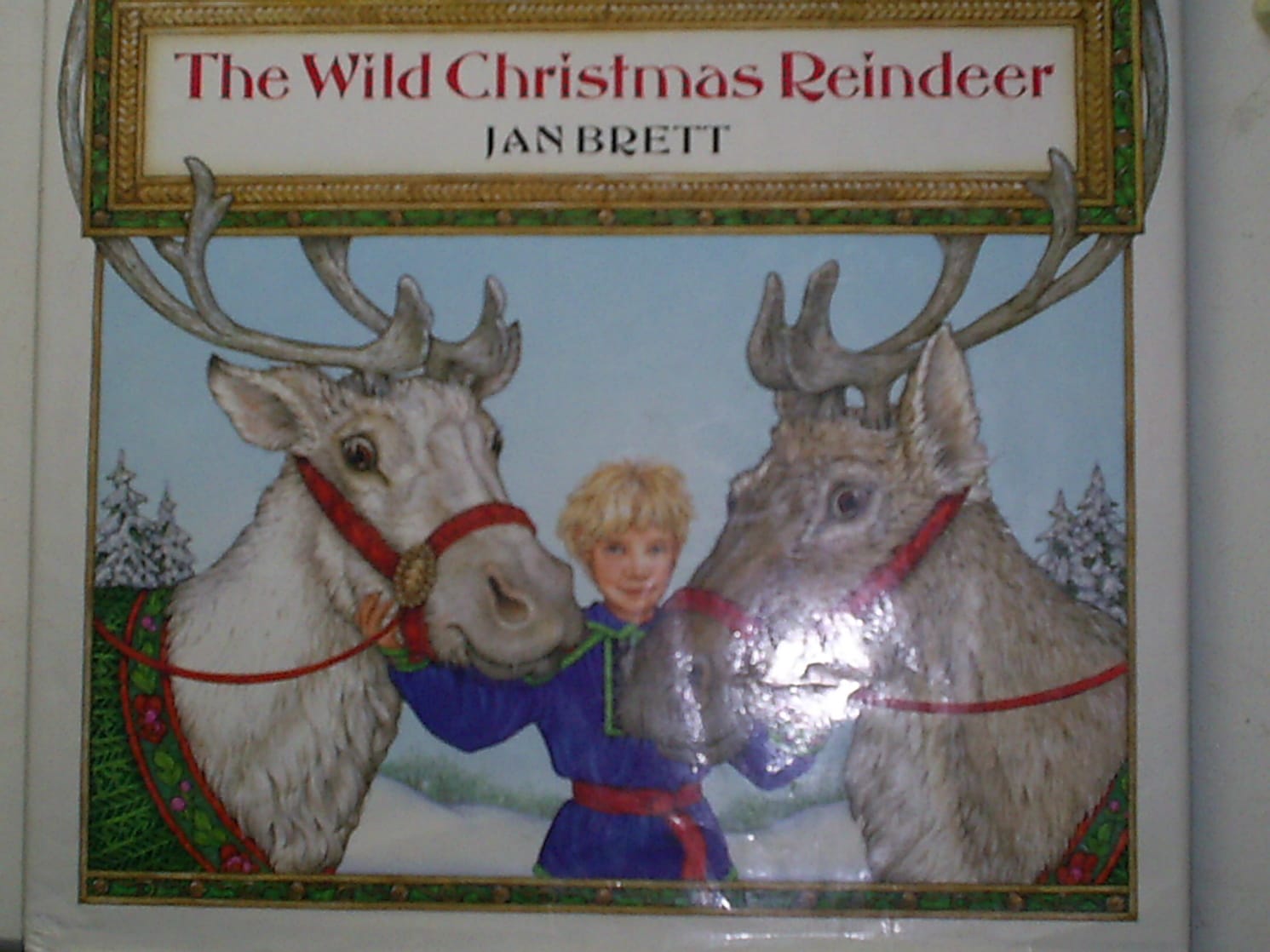 The Wild Christmas Reindeer