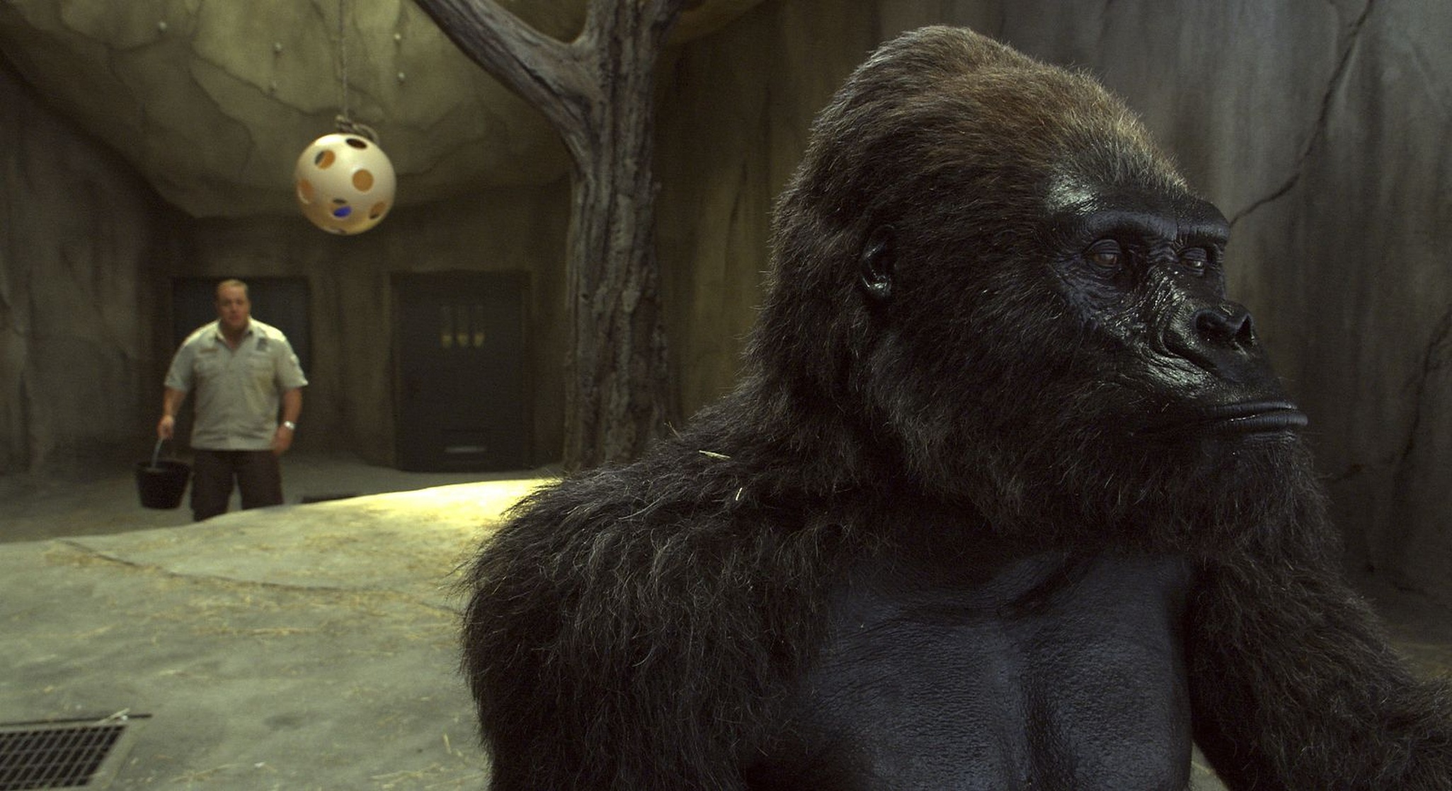 Zookeeper Zookeeper