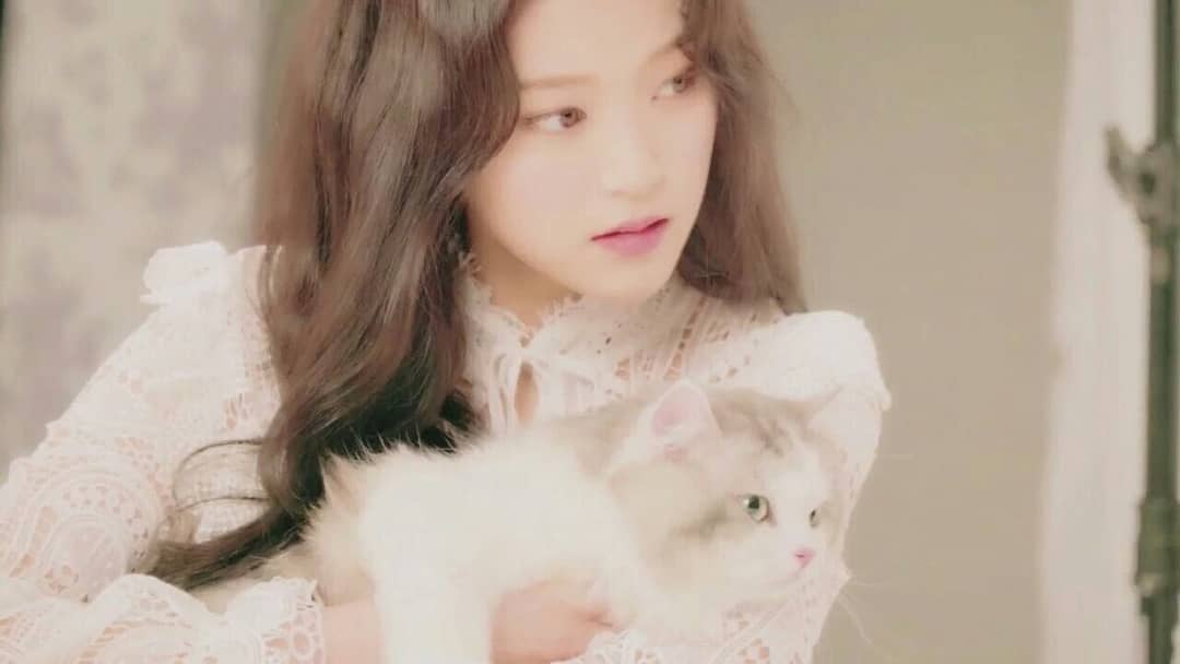 HyunJin HyunJin