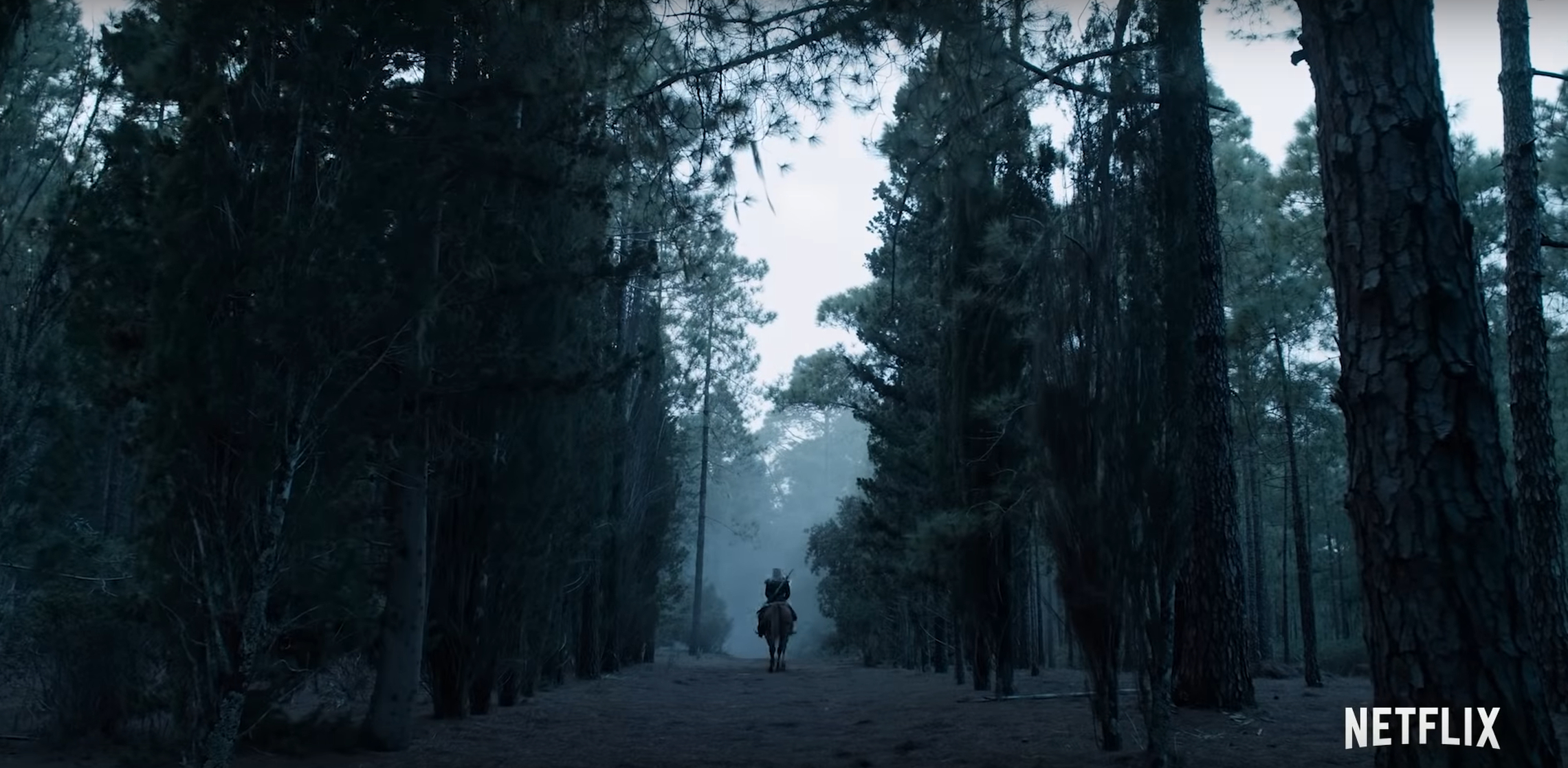 The Witcher