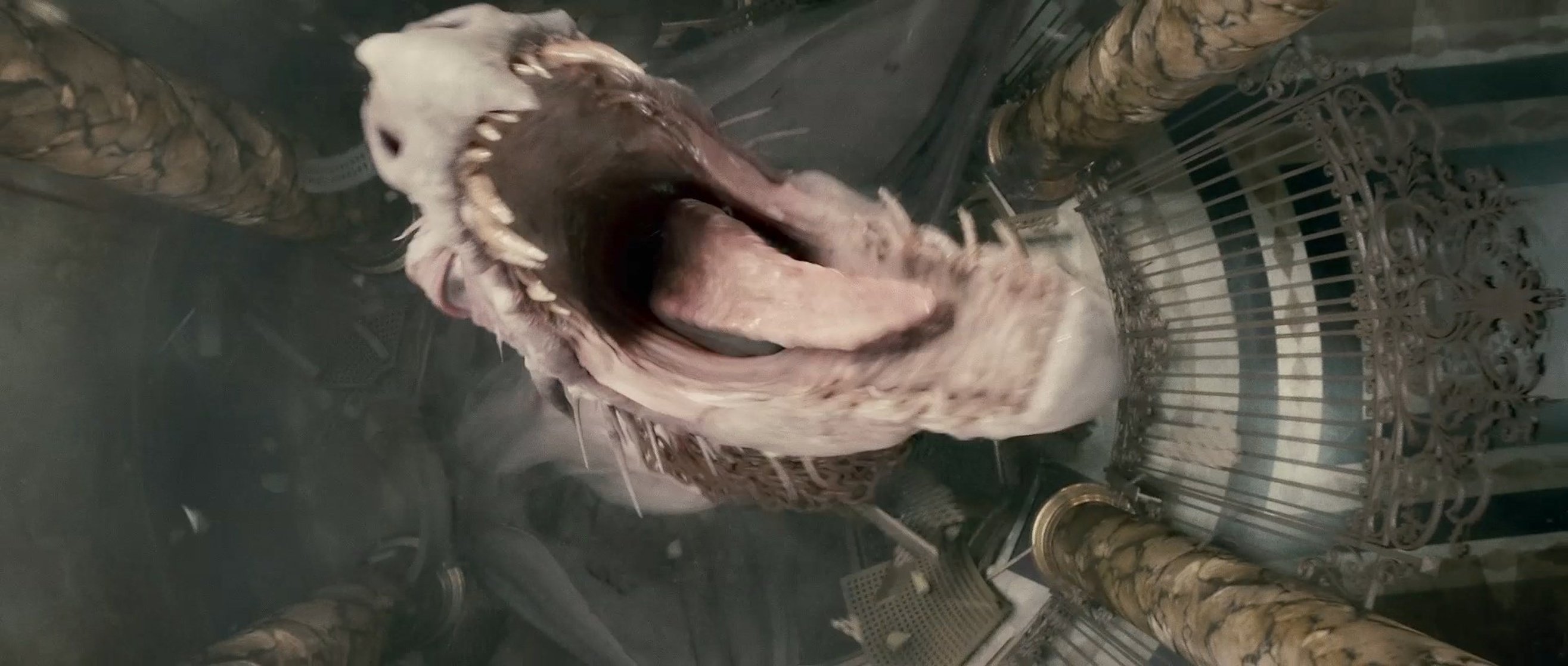 Harry Potter and the Deathly Hallows: Part 2