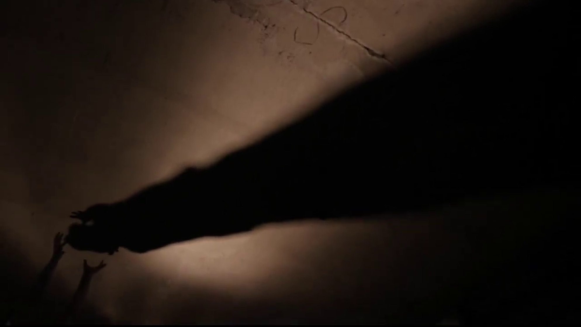 Mr. X, a Vision of Leos Carax Mr. X, a Vision of Leos Carax