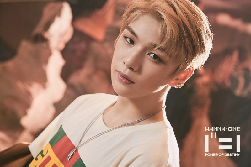 Daniel Kang Daniel Kang