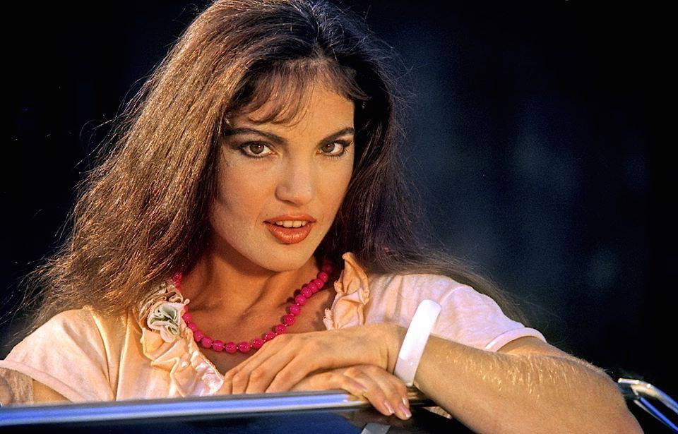 Picture of Brinke Stevens