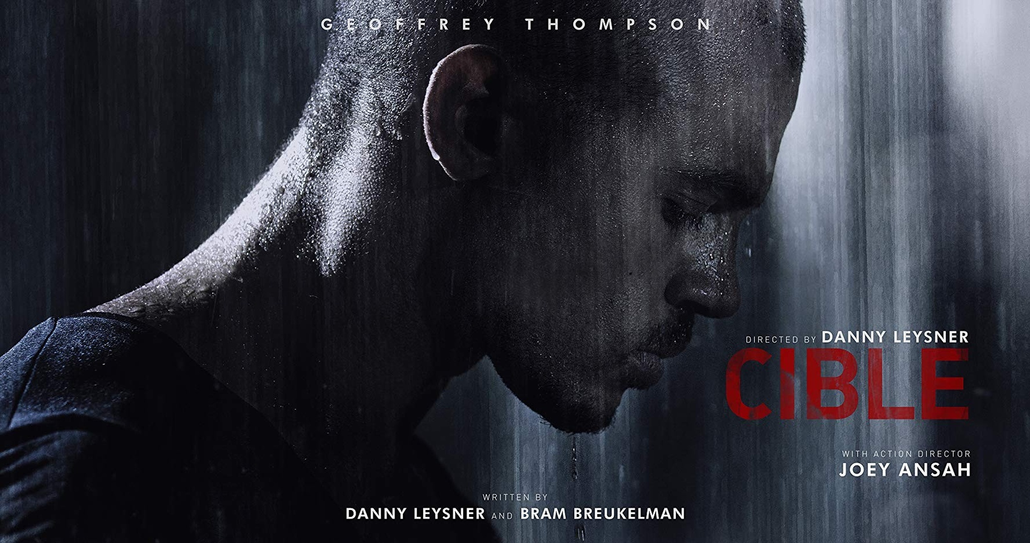 Cible (2017)