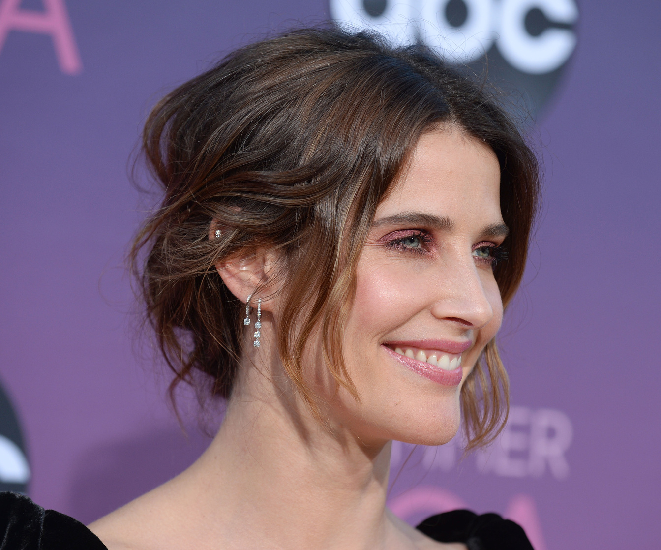 Cobie Smulders