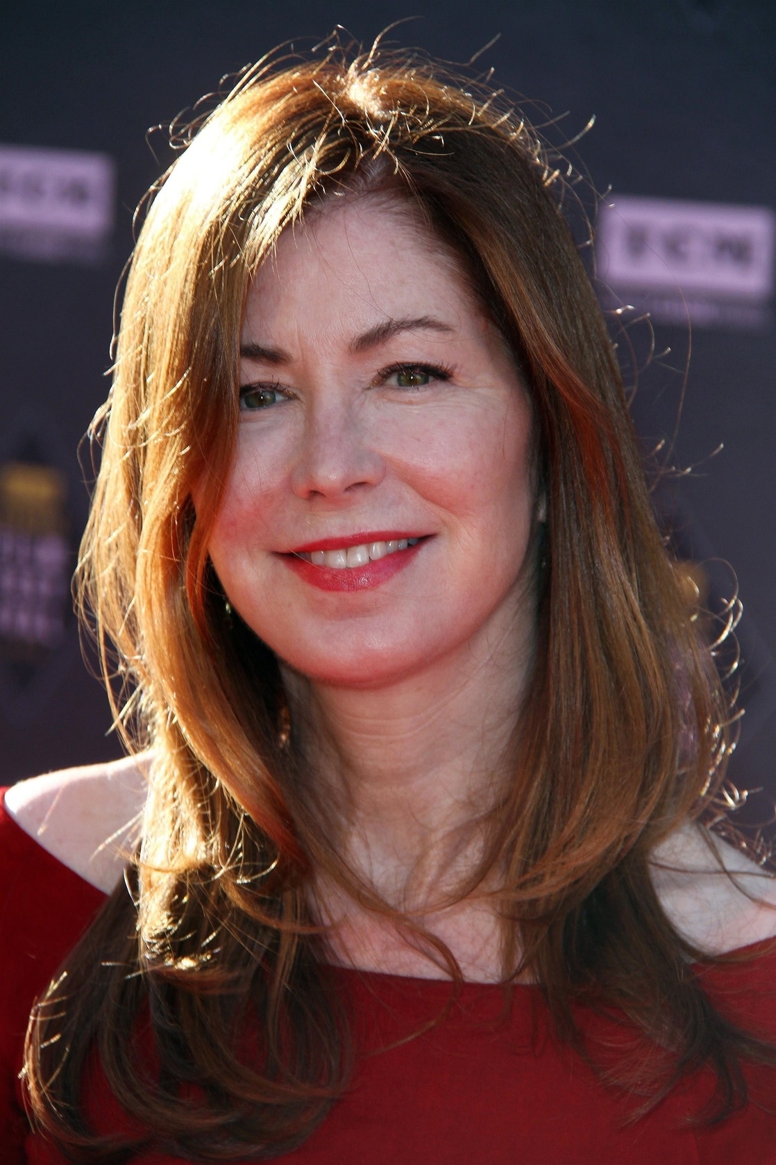 Picture of Dana Delany