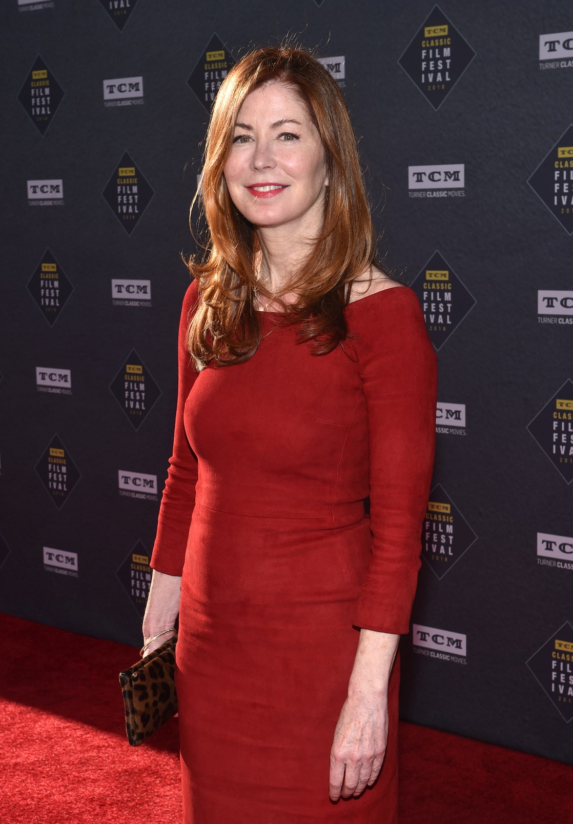 Picture of Dana Delany