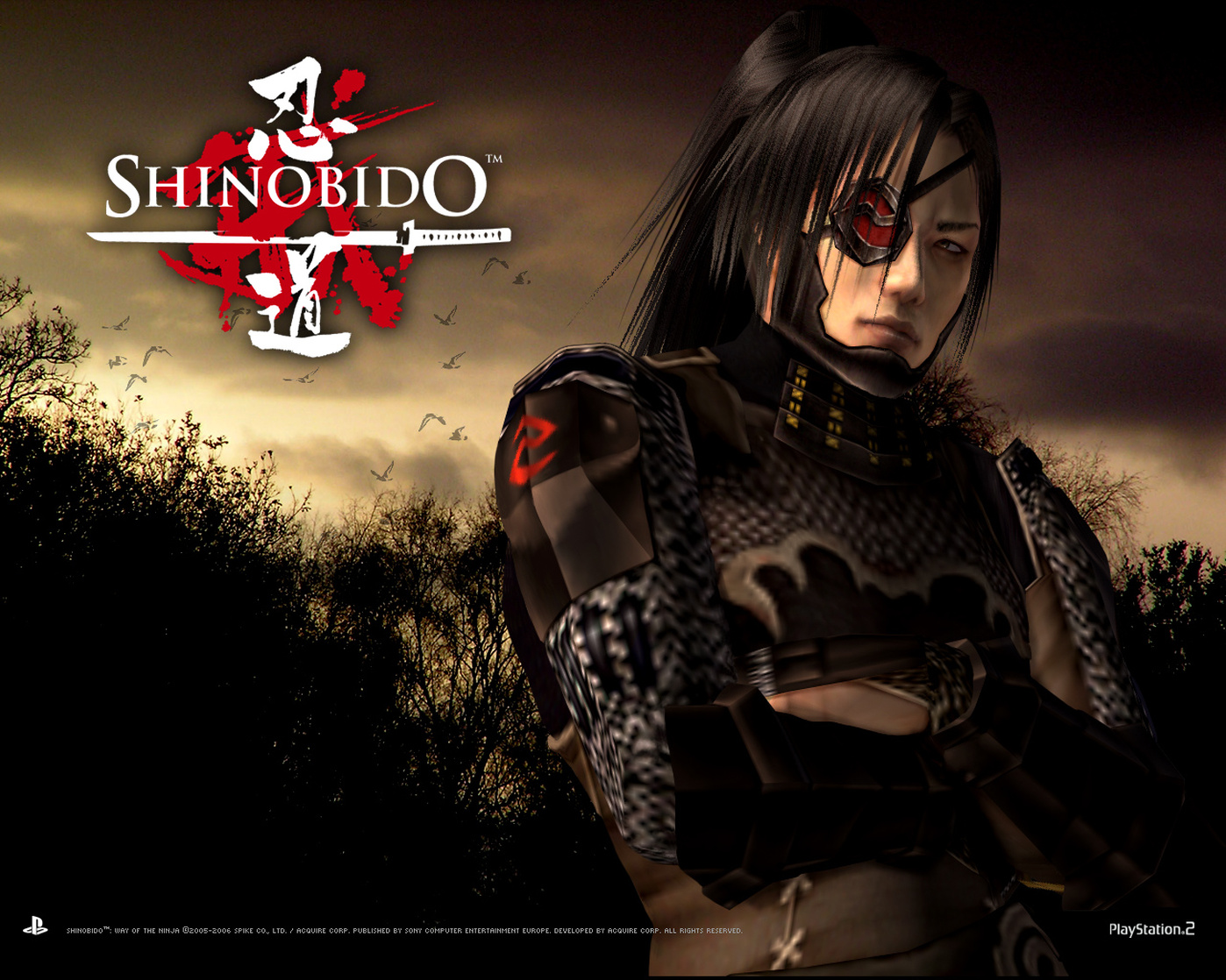 Shinobido: Way of the Ninja