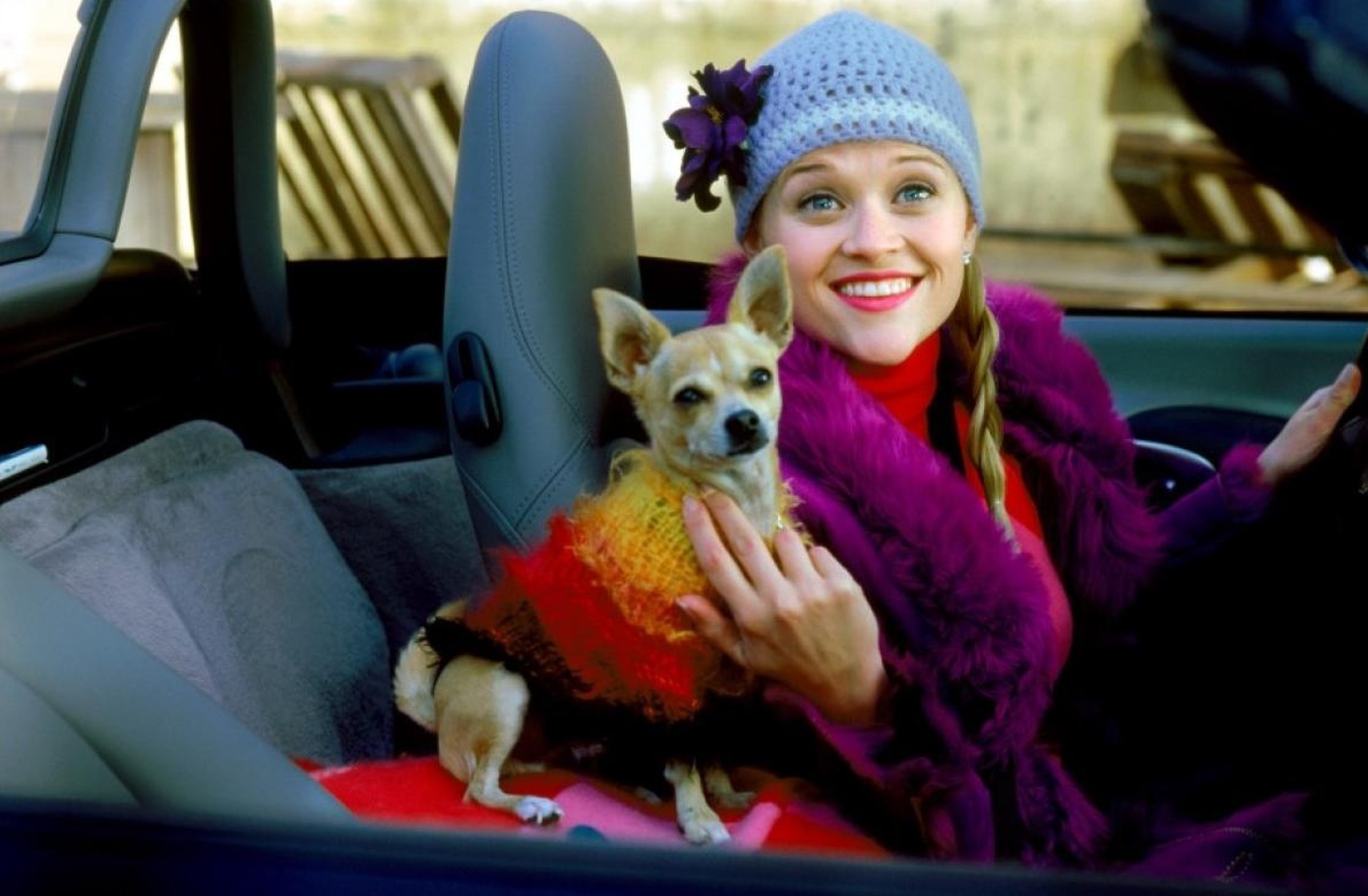 Legally Blonde Legally Blonde