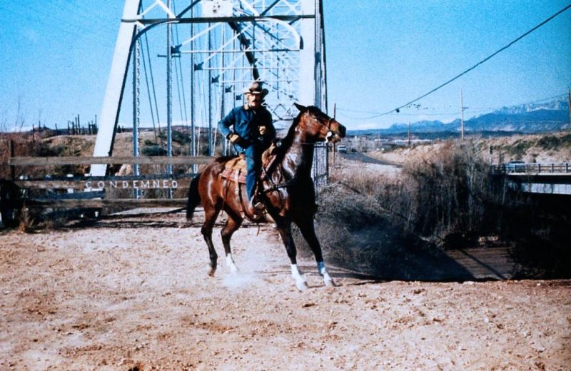 Picture of The Electric Horseman