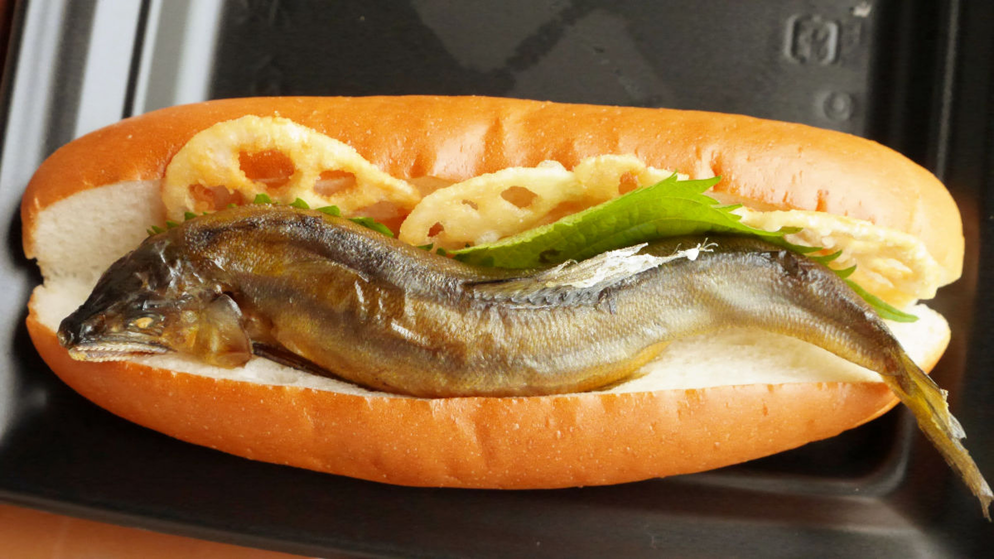 Fish Dog