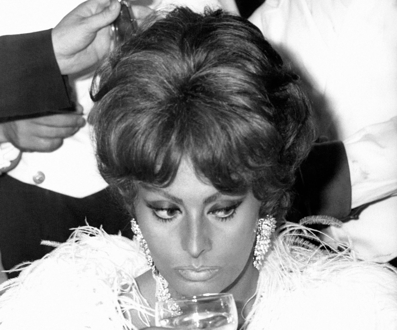 Sophia Loren Sophia Loren