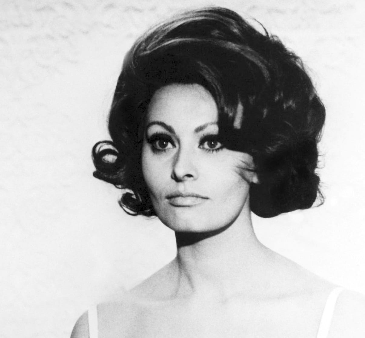 Sophia Loren